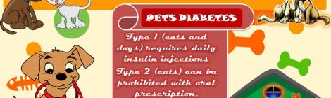 Diabetes Medications In CA For Pets